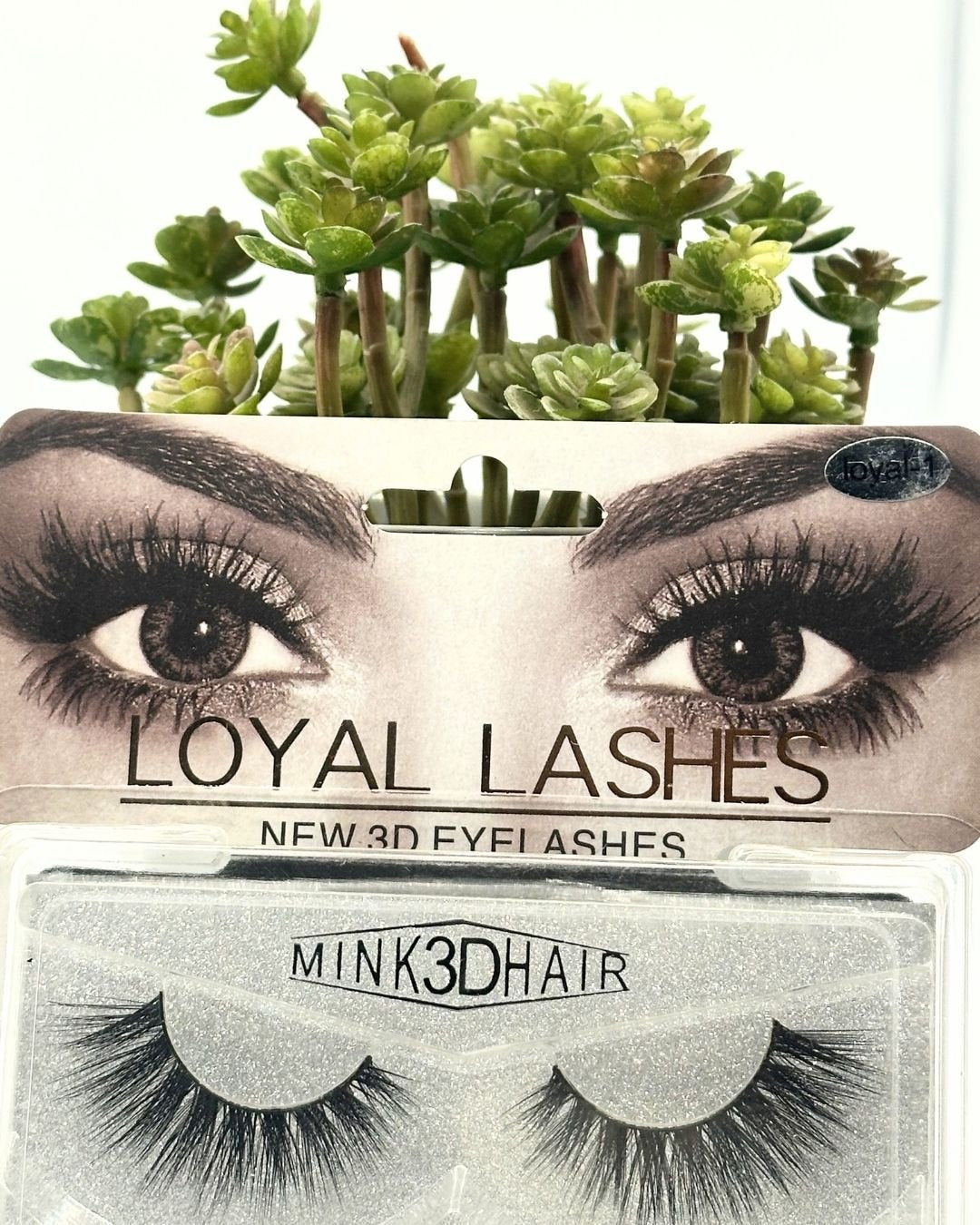 Loyal Eye Lash