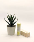 SHEGLAM Lip Oil