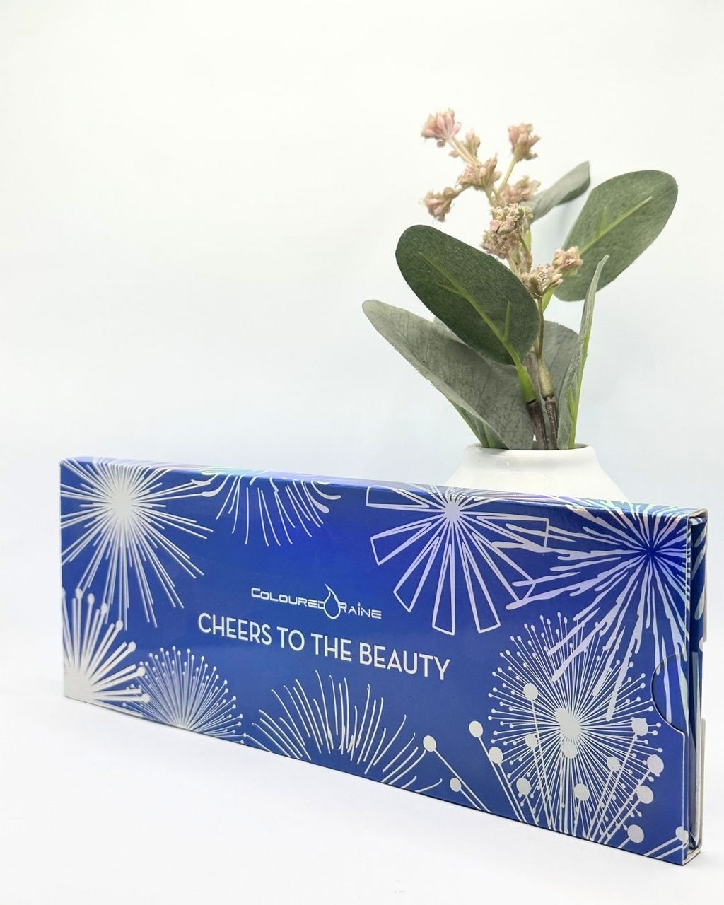 Color Rained Cheers to the Beauty Makeup Kit