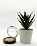 Max Factor Color Me uff Blush - 20 lavish mauve