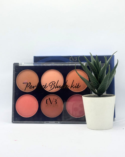 C.V.B High Definition Perfect Blush Kit 6 in 1