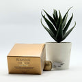 Kerestese Hair Serum